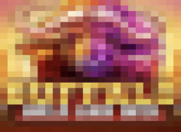 Buffalo Hold and Win